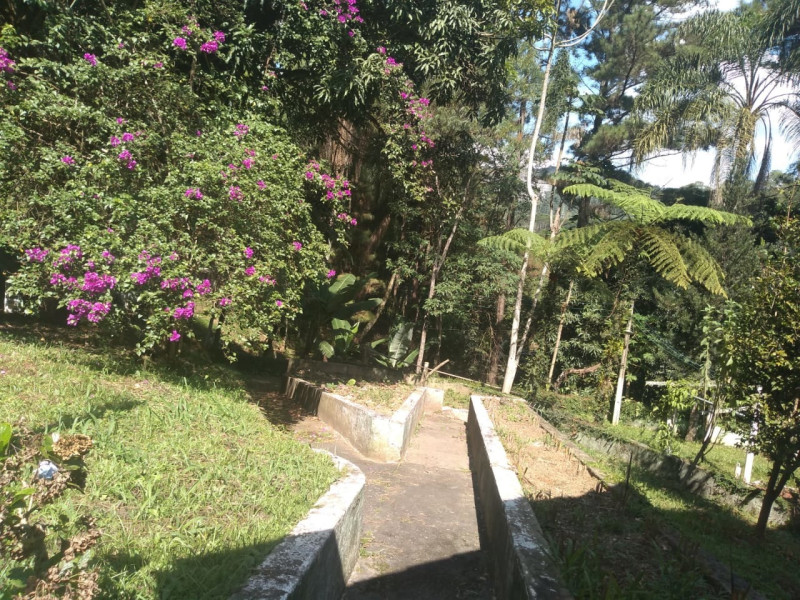 Sítio à venda Lavapés com 14000m² e 5 quartos por R$ 1.600.000 - q.jpeg