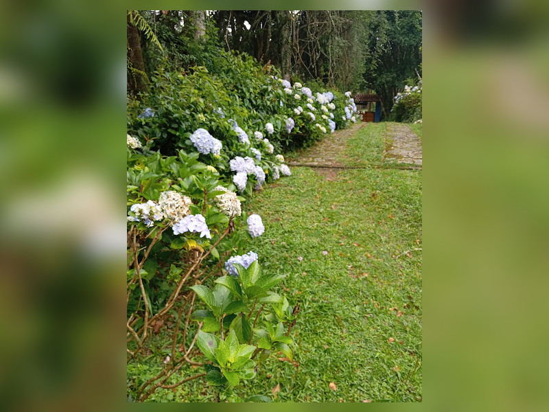 Sítio à venda Área Rural de Extrema com 36000m² e 4 quartos por R$ 650.000 - 1000134588.jpg