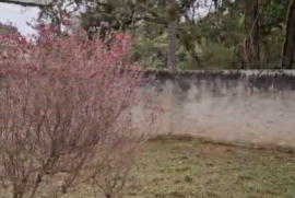 jardim.png