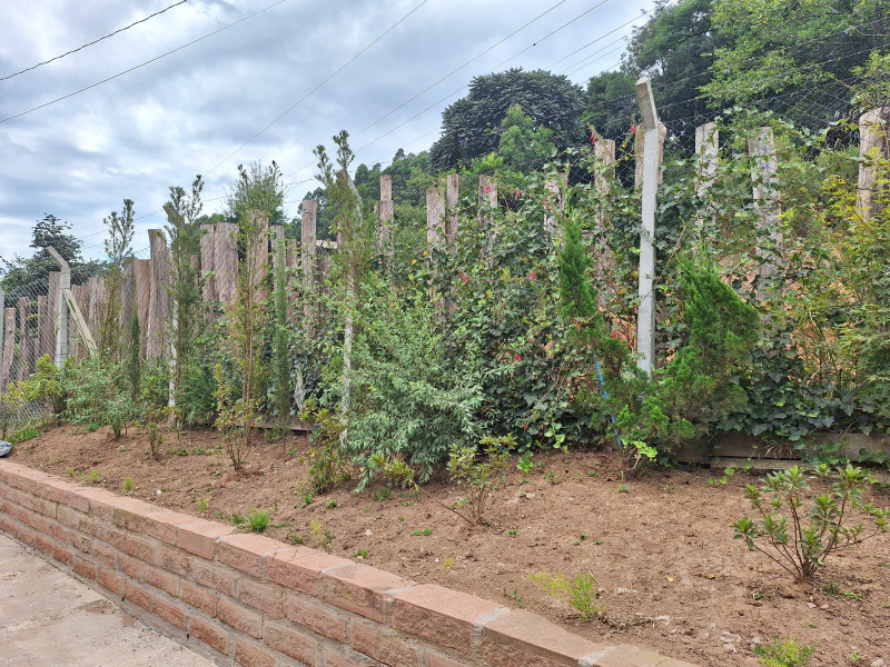 Chácara à venda Centro com 109000m² e 3 quartos por R$ 1.600.000 - 20250127-120020.jpg