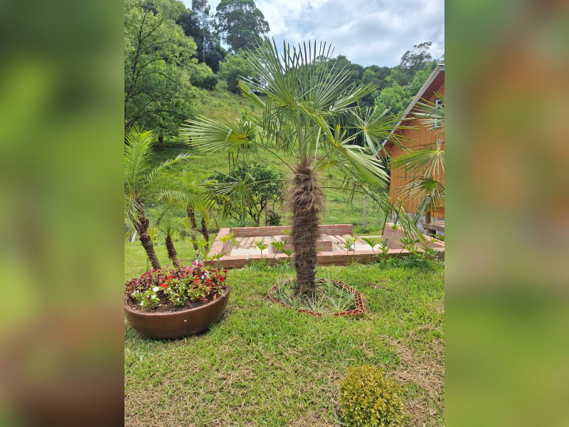 Chácara à venda Centro com 109000m² e 3 quartos por R$ 1.600.000 - 20250127-120407.jpg