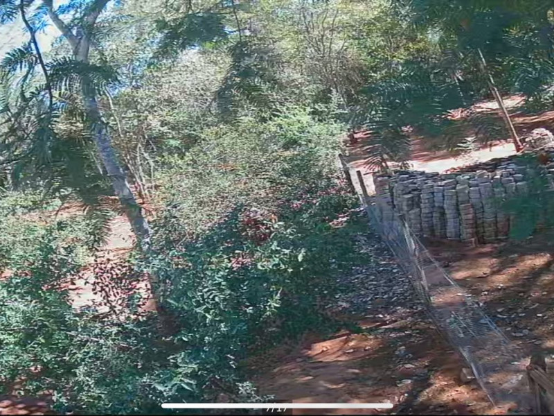 Chácara à venda Área Rural de Palmeiras com 62000m² e 5 quartos por R$ 2.000.000 - whatsapp-image-2025-08-11-at-105741.jpeg