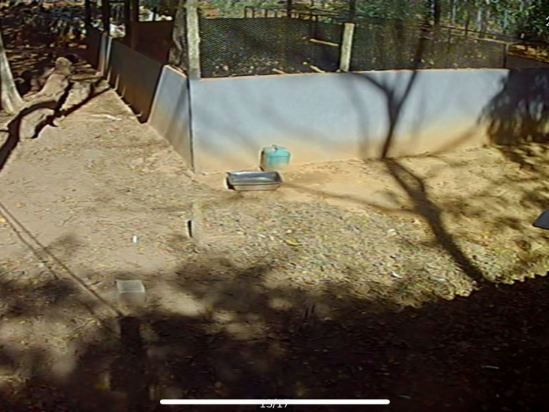 Chácara à venda Área Rural de Palmeiras com 62000m² e 5 quartos por R$ 2.000.000 - whatsapp-image-2025-08-11-at-105759.jpeg