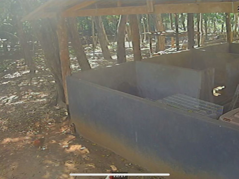 Chácara à venda Área Rural de Palmeiras com 62000m² e 5 quartos por R$ 2.000.000 - whatsapp-image-2025-08-11-at-105800.jpeg