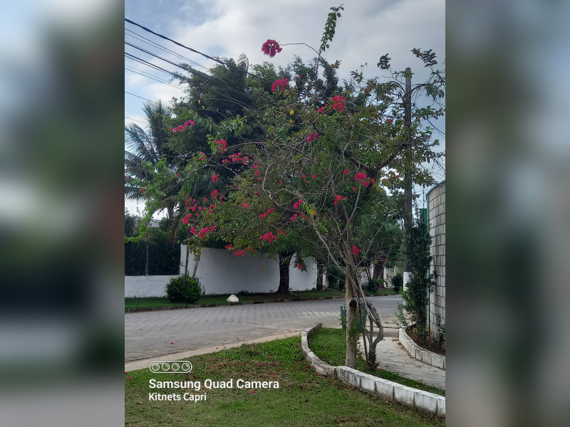imóvel com 294m² - Portal da Fazendinha - Caraguatatuba