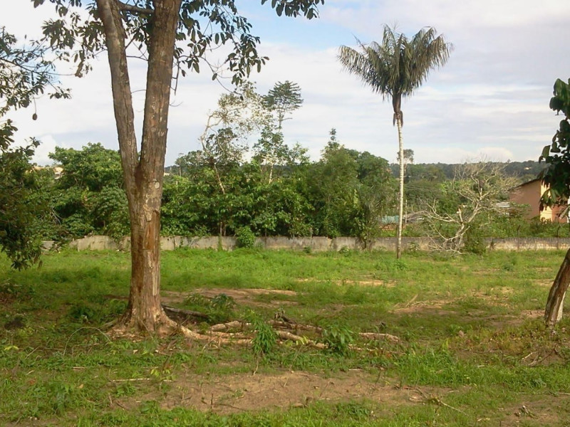 Terreno à venda Tarumã-Açu com 4800m² e 0 quartos por R$ 600.000 - 1000120302.jpg