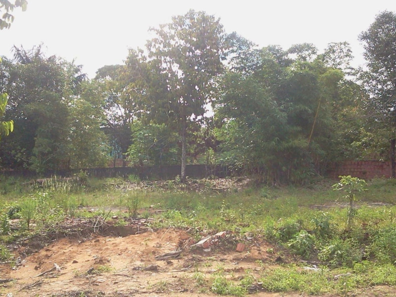 Terreno à venda Tarumã-Açu com 4800m² e 0 quartos por R$ 600.000 - 1000120314.jpg