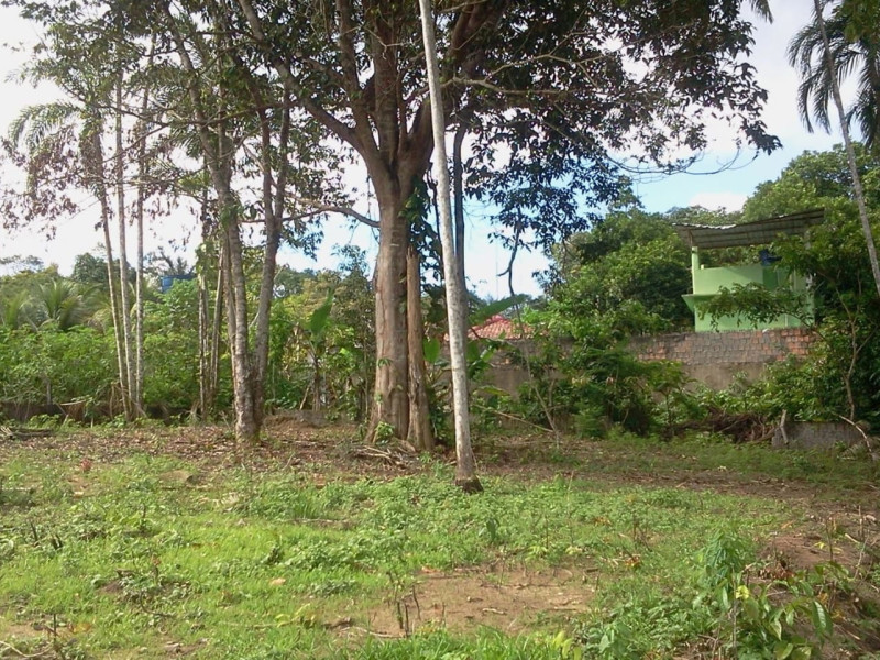 Terreno à venda Tarumã-Açu com 4800m² e 0 quartos por R$ 600.000 - 1000120320.jpg