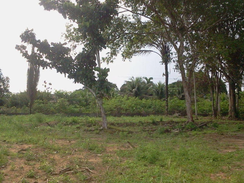 Terreno à venda Tarumã-Açu com 4800m² e 0 quartos por R$ 600.000 - 1000120323.jpg