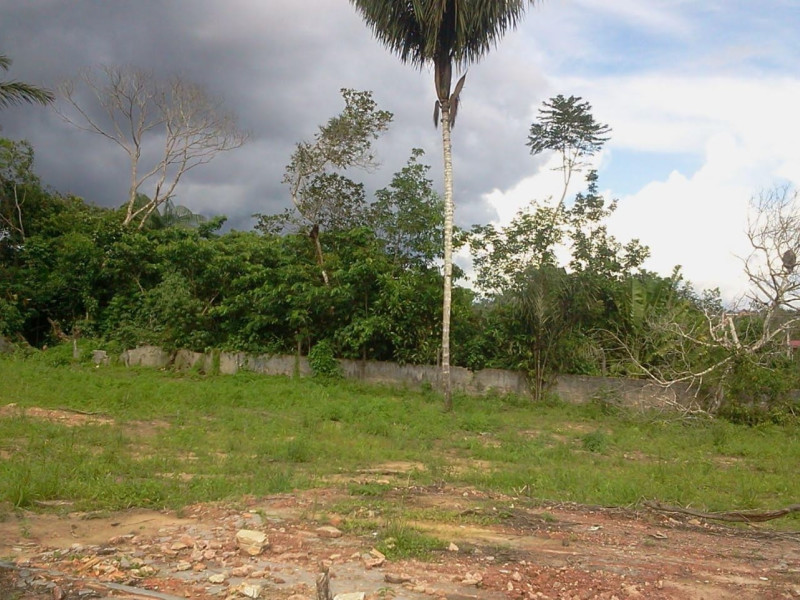 Terreno à venda Tarumã-Açu com 4800m² e 0 quartos por R$ 600.000 - 1000120332.jpg
