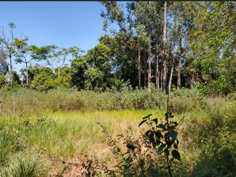 Terreno à venda Jardim Nossa Senhora do Perpétuo Socorro com 682m² e 0 quartos por R$ 485.000 - 1000193122.jpg