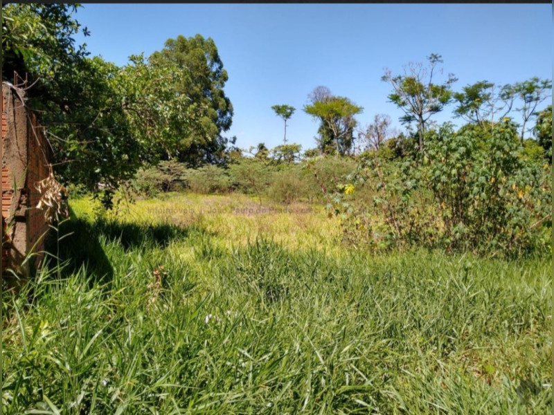 Terreno à venda Jardim Nossa Senhora do Perpétuo Socorro com 682m² e 0 quartos por R$ 485.000 - 1000193129.jpg