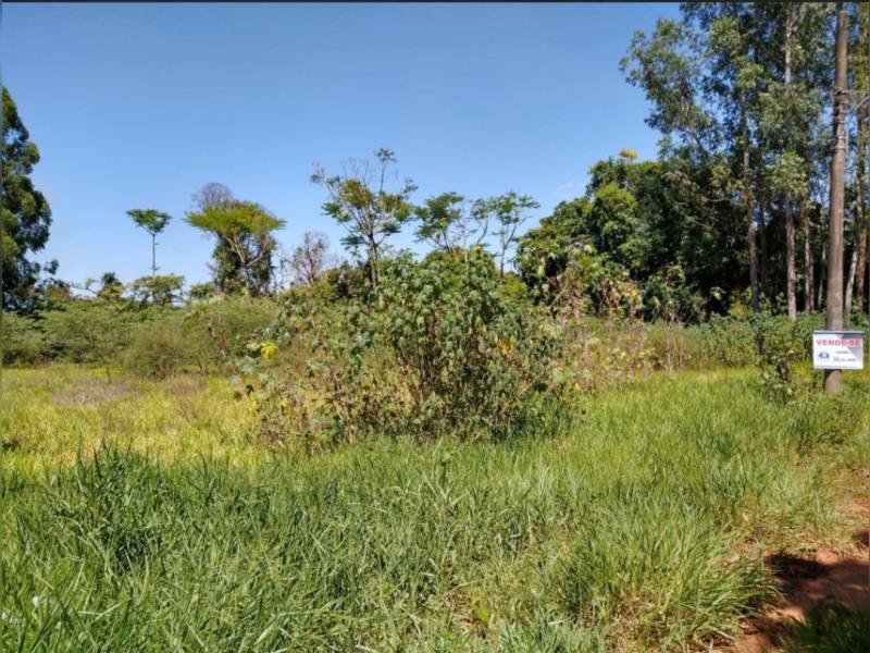 Terreno à venda Jardim Nossa Senhora do Perpétuo Socorro com 682m² e 0 quartos por R$ 485.000 - 1000193130.jpg