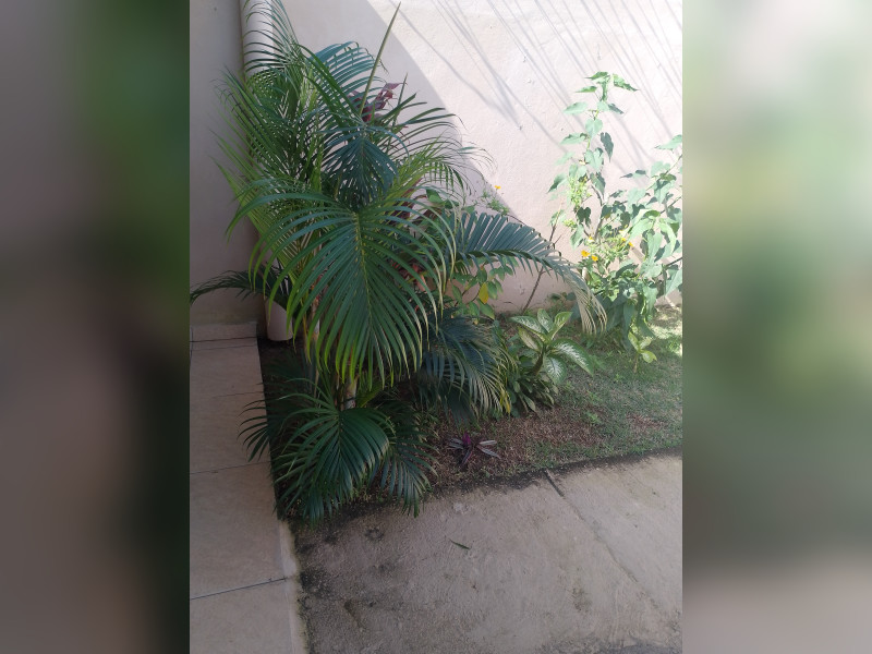 Casa à venda Donana com 53m² e 2 quartos por R$ 165.000 - 7ce64e5d-b0bd-4767-977f-bbdb8851c693-1-all-4629.jpg