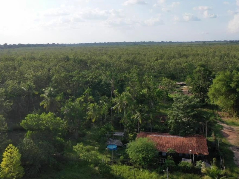 Fazenda à venda Centro com 19500000m² e 5 quartos por R$ 18.000.000 - image.jpeg