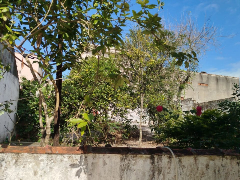 Casa à venda Centro com 183m² e 3 quartos por R$ 800.000 - foto-casa-peruibe-jardim-fundos.jpeg