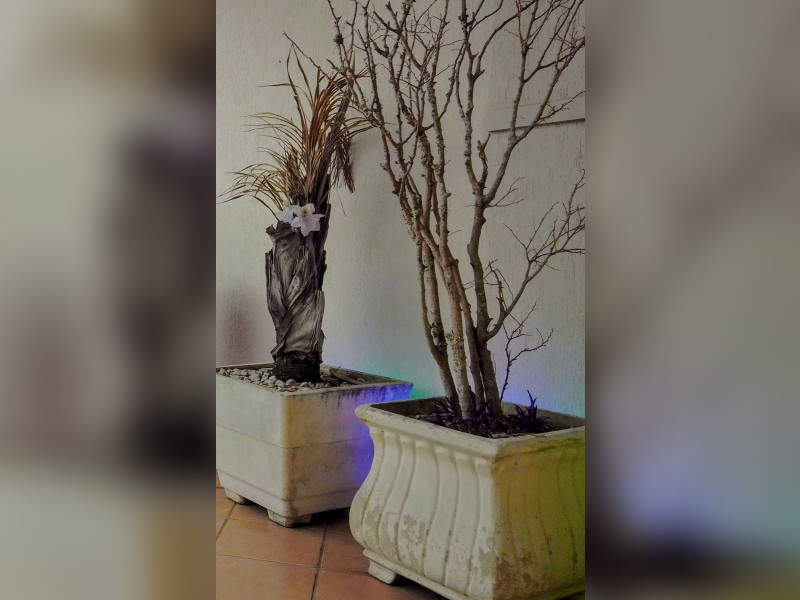 Cobertura à venda Centro com 150m² e 3 quartos por R$ 625.000 - img-20250809-154042-482.jpg