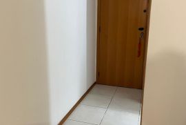 ap-marcelli-4.jpg