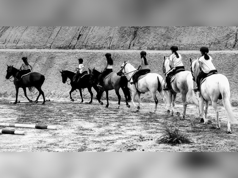 Terreno à venda Kurumin com 2000m² e 1 quarto por R$ 2.350.000 - cavalos.JPG