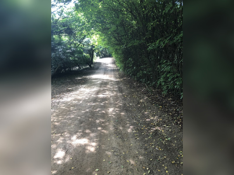 Terreno à venda Kurumin com 2000m² e 1 quarto por R$ 2.350.000 - fotos-trilhas.jpg