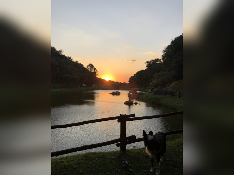 Terreno à venda Kurumin com 2000m² e 1 quarto por R$ 2.350.000 - lago-valentina.jpg