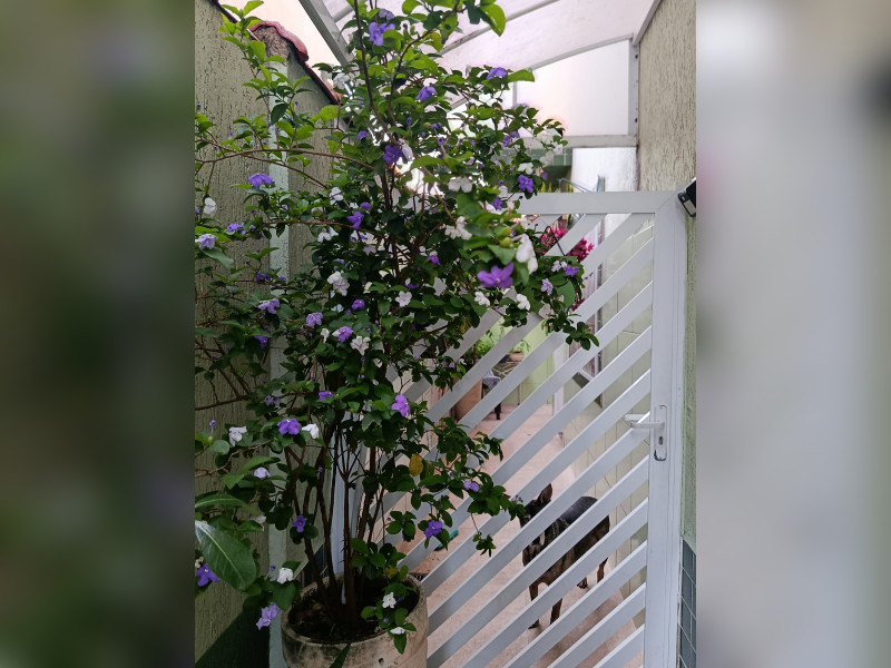 Casa de condomínio à venda Vila Voturuá com 67m² e 2 quartos por R$ 335.000 - 1000461453.jpg