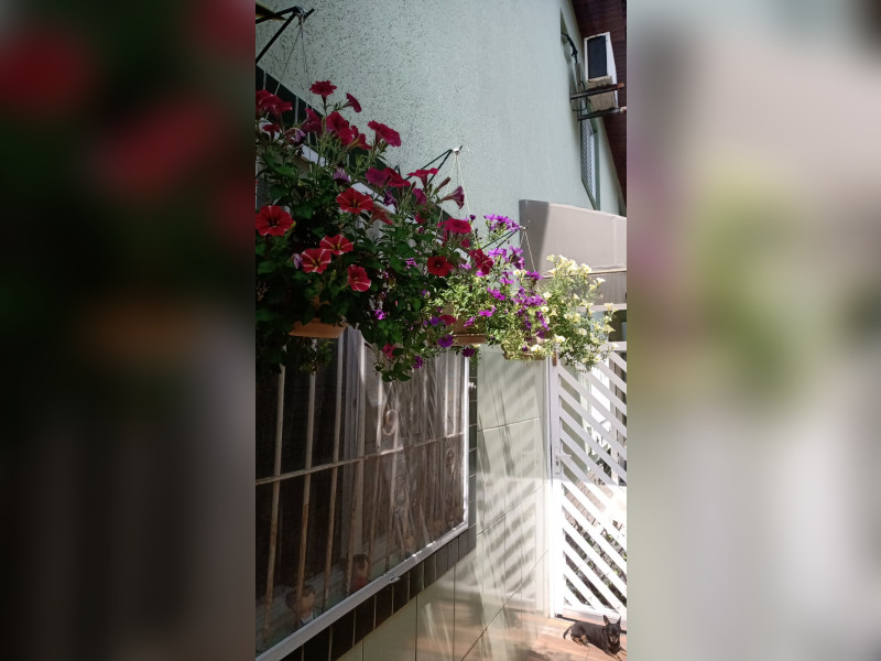 Casa de condomínio à venda Vila Voturuá com 67m² e 2 quartos por R$ 335.000 - img-20241228-wa0233.jpg