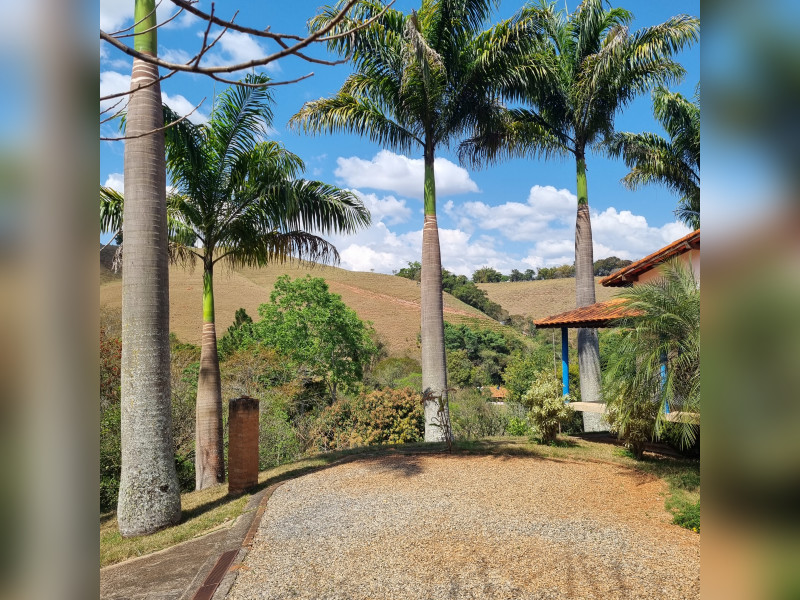 Sítio à venda Centro com 22m² e 3 quartos por R$ 1.500.000 - 20250920-131919-4.jpg