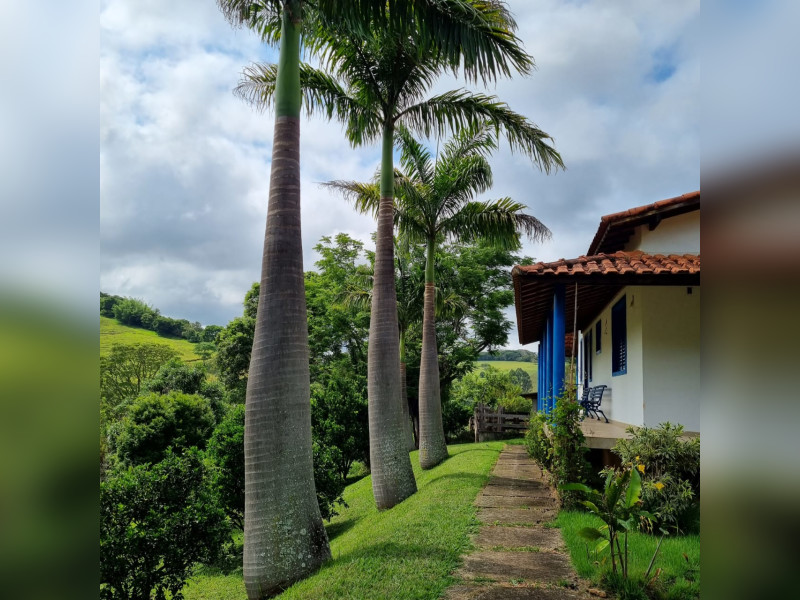 Sítio à venda Centro com 22m² e 3 quartos por R$ 1.500.000 - img-20230731-wa0021.jpg