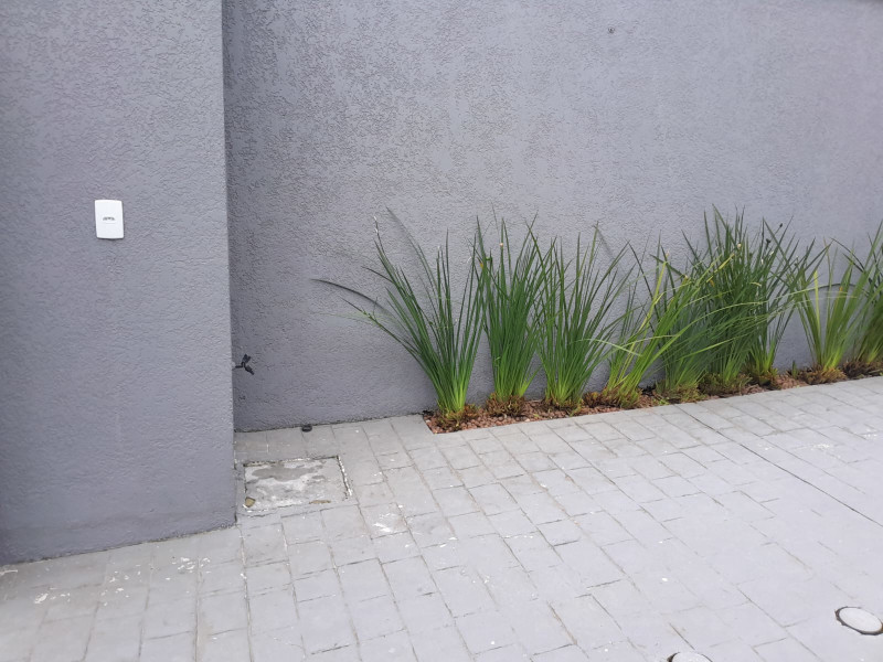 Casa à venda Morretes com 74m² e 2 quartos por R$ 649.000 - whatsapp-image-2025-09-25-at-182204-1.jpeg