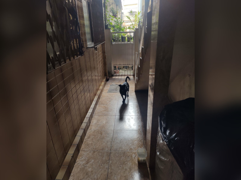 Casa de condomínio à venda Parada de Lucas com 50m² e 1 quarto por R$ 120.000 - d0ca2aff-409f-485e-bbe4-80ad16178270.jpg