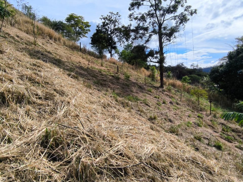 Chácara à venda Recanto do Sossego com 2000m² e 1 quarto por R$ 245.000 - 1000038041.jpg