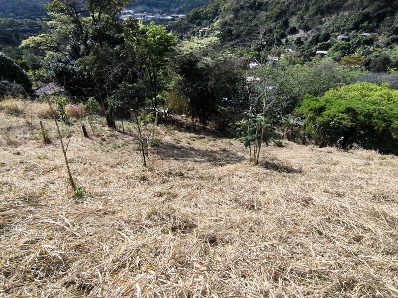 Chácara à venda Recanto do Sossego com 2000m² e 1 quarto por R$ 245.000 - 1000038091.jpg