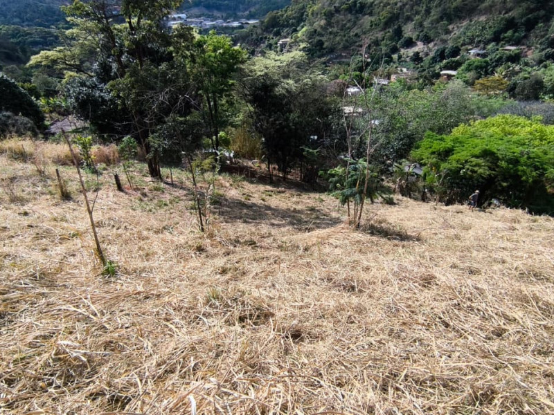 Chácara à venda Recanto do Sossego com 2000m² e 1 quarto por R$ 245.000 - 1000038211.jpg