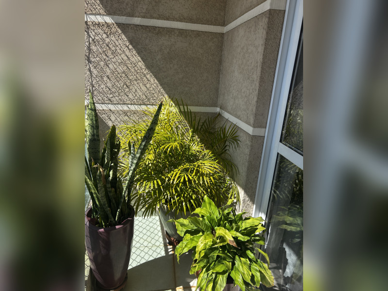 Apartamento à venda Jardim Barbosa com 61m² e 2 quartos por R$ 460.000 - img-9829.jpeg