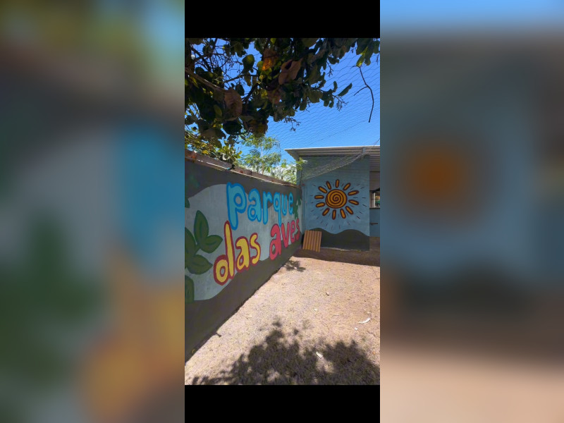 Sítio à venda Registro com 8712m² e 5 quartos por R$ 1.350.000 - 11-p-aves.jpeg