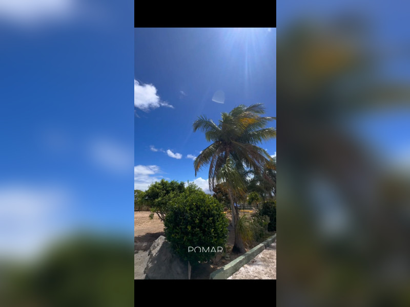 Sítio à venda Registro com 8712m² e 5 quartos por R$ 1.350.000 - 21-pomar.jpeg