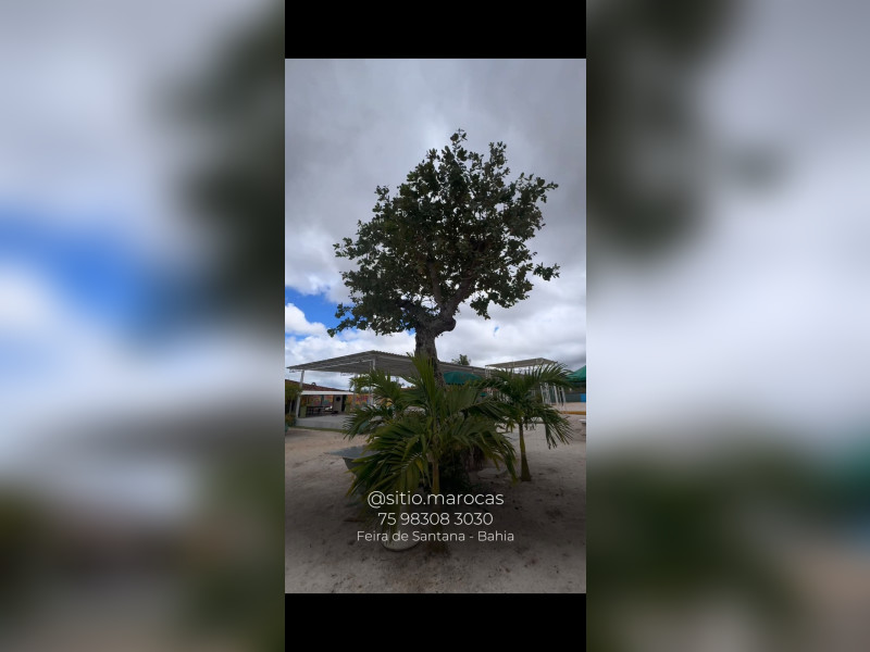 Sítio à venda Registro com 8712m² e 5 quartos por R$ 1.350.000 - 22final.jpeg