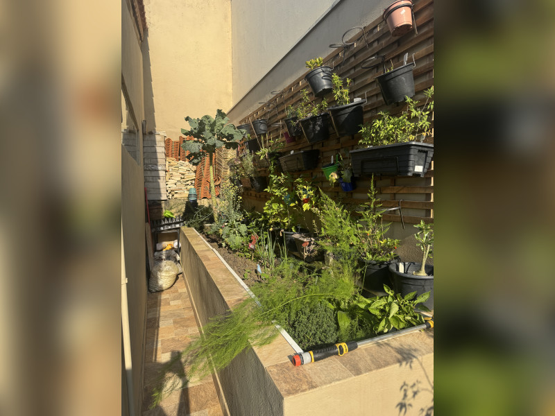 Casa de condomínio à venda Residencial San Diego com 362m² e 3 quartos por R$ 1.250.000 - horta.JPG