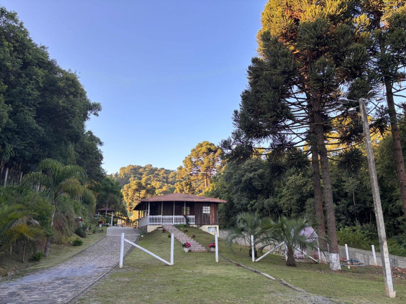 imóvel com 35000m² - Pacotuba - Almirante Tamandaré