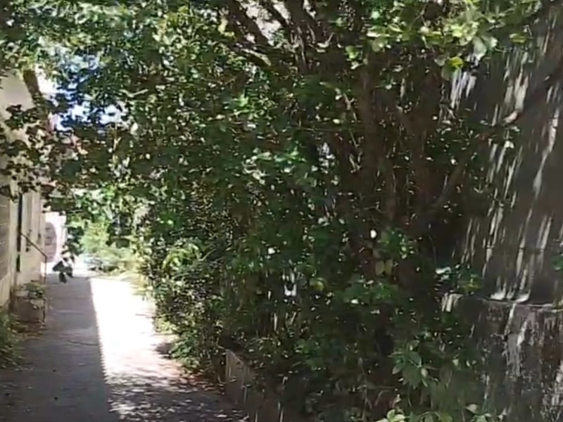 Casa à venda Rocha Miranda com 500m² e 7 quartos por R$ 650.000 - imagem-do-whatsapp-de-2025-10-24-as-133618-41fa1d7e.jpg