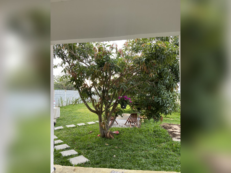 Sítio à venda Goiabal com 75m² e 1 quarto por R$ 420.000 - img-9456.jpeg