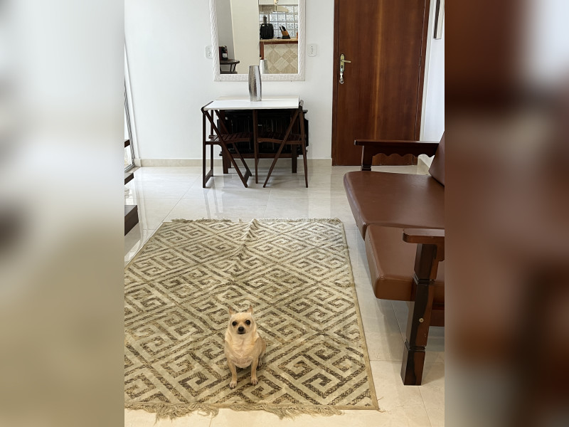 Apartamento à venda Centro com 63m² e 2 quartos por R$ 200.000 - img-5335.jpeg