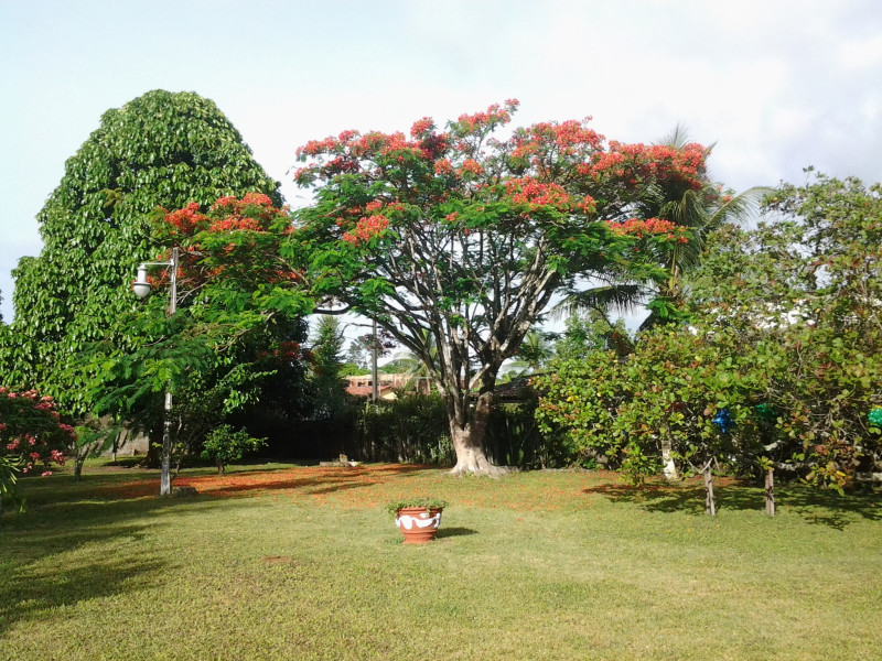 Casa à venda Aldeia dos Camarás com 300m² e 3 quartos por R$ 1.200.000 - 20131221-064908.jpg