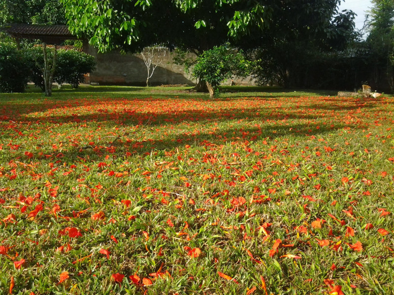 Casa à venda Aldeia dos Camarás com 300m² e 3 quartos por R$ 1.200.000 - 20131221-065006.jpg