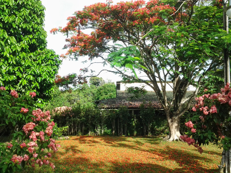 Casa à venda Aldeia dos Camarás com 300m² e 3 quartos por R$ 1.200.000 - 20131221-065452.jpg