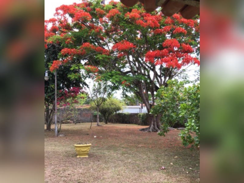 Casa à venda Aldeia dos Camarás com 300m² e 3 quartos por R$ 1.200.000 - imagem-do-whatsapp-de-2025-08-25-as-172337-2ab7c56d.jpg