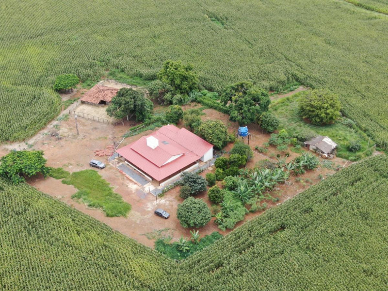 Fazenda à venda Centro com 68m² e 3 quartos por R$ 18.500.000 - faz1.jpg