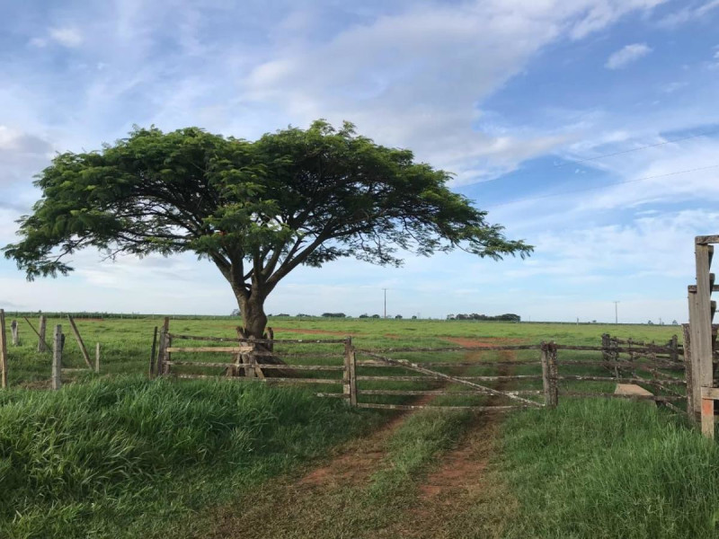 Fazenda à venda Centro com 68m² e 3 quartos por R$ 18.500.000 - faz3.jpg