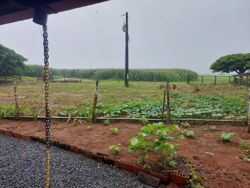 Fazenda à venda Centro com 68m² e 3 quartos por R$ 18.500.000 - faz4.jpg